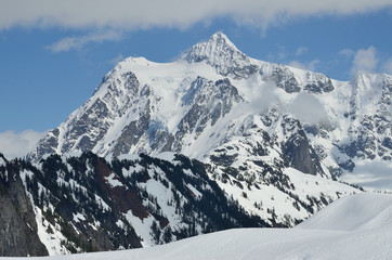 Fototapeta na wymiar Mount Shuksan view from Baker Wilderness