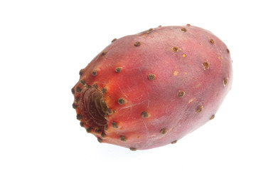 The fruit of a prickly pear cactus on white background