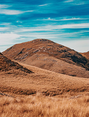 Campos do Quiriri Santa Catarina Garuva