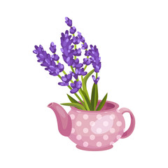Bouquet of lavender in a teapot. Vector illustration on a white background.