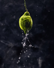 Green lemon with splashing water on dark background