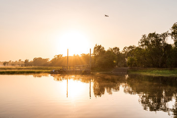 Naklejka premium Sunrise at the Yellow Water Cruise, morning mist between trees and smooth water with mirror effect, Kakadu National Park, Northern Territory, Australia