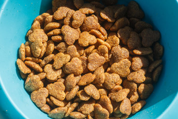 Dog food in a blue plastic dog bowl