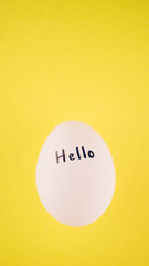 White chicken egg with black text hello on a yellow background.