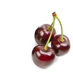 Ripe cherries isolated on white background. Free space for text.
