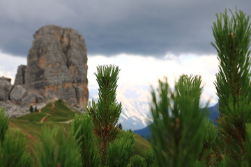 Obraz premium Green in the mountains