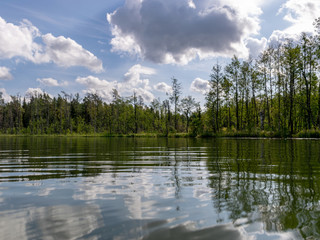 Fototapeta premium Lake shines green under blowing clouds in summer with waterlily leaves in the foreground, Lake Valdis, Turna, Latvia