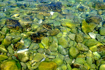 rocks under the water