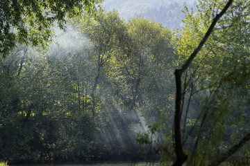 Landscape, Billows of fog or smoke over the water near the fores