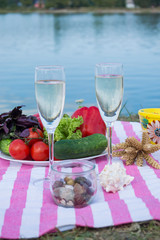 Beautiful picnic with fruits, vegetables and glasses of wine near lake. 