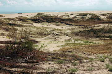 Dunes in Curonian spit, Russia