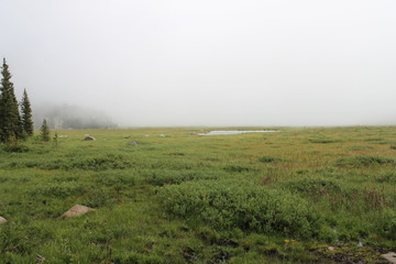 Obraz na płótnie Canvas foggy field