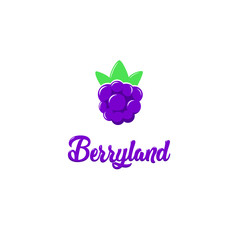 Purple berry logo design isolated food