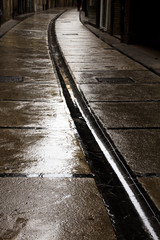 Obraz premium Calle mojada