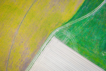 Aerial Abstract of Farmland in New Jersey