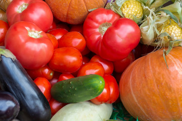 pumpkin, tomatoes, corn, eggplant and onions on a store counter	