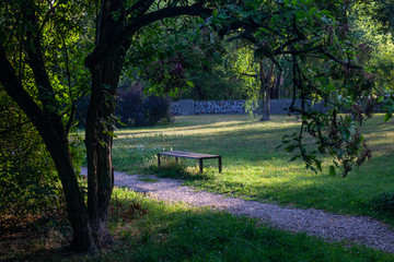 Empty bench in a park at dawn