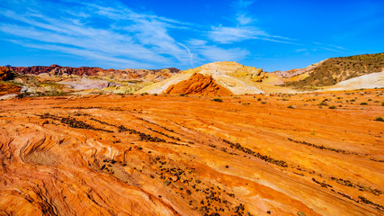 The colorful red, yellow and white banded rock formations along the Fire Wave Trail in the Valley of Fire State Park in Nevada, USA