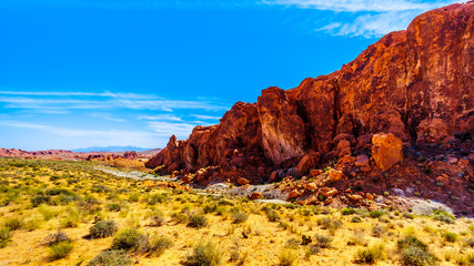 Fototapeta na wymiar The colorful red rock formations along the Fire Wave Trail in the Valley of Fire State Park in Nevada, USA