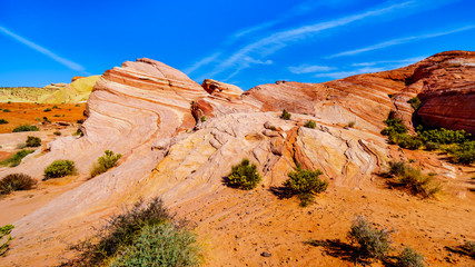 The colorful red, yellow and white banded rock formations along the Fire Wave Trail in the Valley of Fire State Park in Nevada, USA