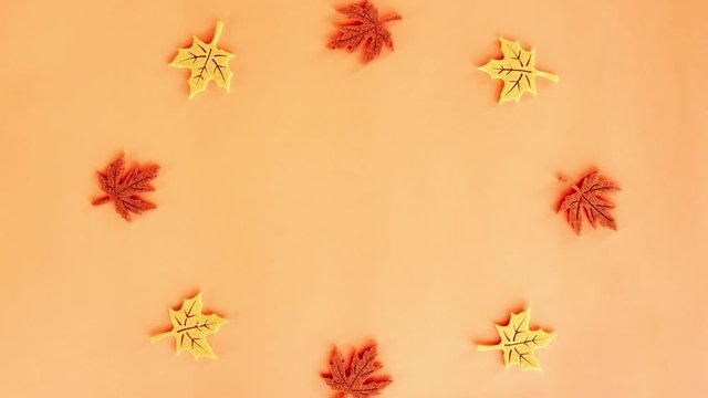 Stop motion animation of beautiful red and yellow autumn leaves standing in a circle and spinning around its axis on orange background