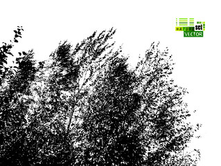 The silhouette of the landscape of nature. Windy weather. Leaves of birches. Vector illustration