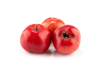 ripe red hawthorn on white background