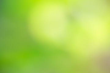 abstract blur green color for background,blurred and defocused effect spring concept for design