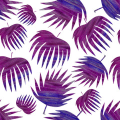 Fototapeta na wymiar dark violet tropical leaves drawn on a white color