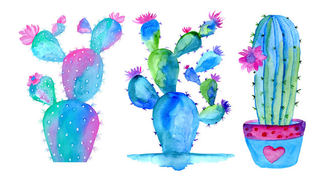 Watercolor green and purple cactus set isolated on white background. Hand painted illustration. 