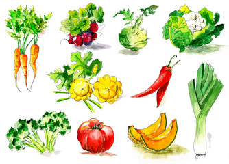 Vegetables