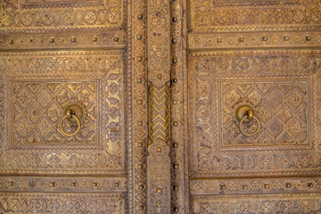 Fort in Jaipur and details on the door
