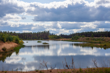 Fototapeta premium Lake and pine forest in summer