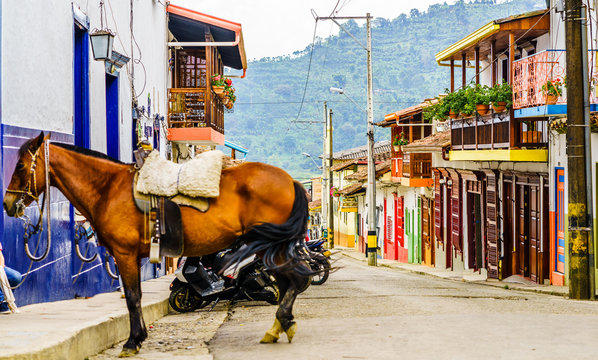 View On Horse In The Colonial Village Of Jardin In Colombia