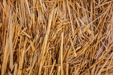 background of dry straw close up