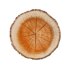 Naklejka premium Big tree trunk slice cut from the woods. Textured surface with rings and cracks. Neutral brown background made of hardwood from the forest.