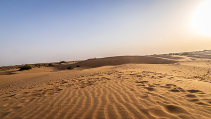 Obraz na płótnie Canvas Desert in India near Jaisalmer, the yellow city
