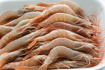 Gamba blanca fresca de Huelva.