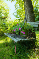 Garden bench with flowers in a summer garden
