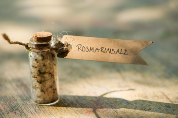 rosemary salt in a little bottle