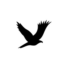 bird, flying, fly, silhouette, flight, wings, eagle, animal, black, white, nature, birds, wing, illustration, crow, sky, wildlife, feathers, isolated, wild, pigeon, peace, freedom, feather, beak
