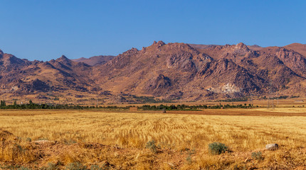 landscape with mountains