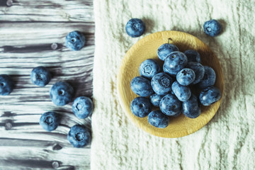 Myrtilles fraichement cueillies au jardin