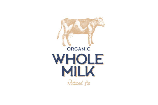 Hand drawn cow in technique of engraving. Template for logo, emblem in vintage style for dairy stores and markets with high quality food. Vector illustration of farm animal on light background.