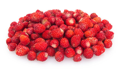 Wild strawberries on white background