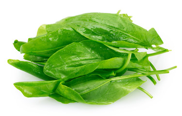 Fresh sorrel on white background