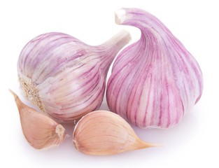 Fresh garlic on white background