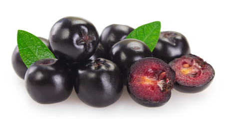 Fresh chokeberry on white background