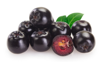 Fresh chokeberry on white background