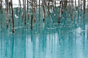 氷が張った初冬の青い池　美瑛町